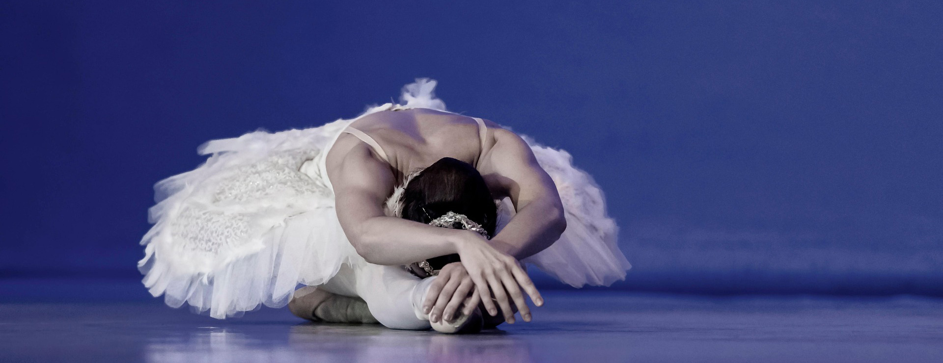 Prima pagina -Joydanza ballerina 7066864 1920