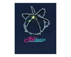 Copri Chignon Da Spettacolo