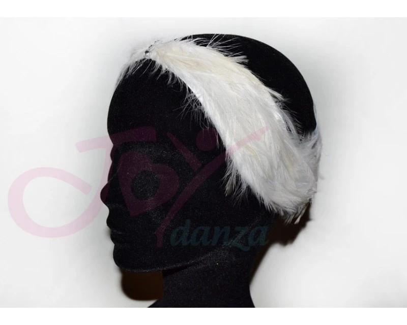 Coroncina Lago Dei Cigni 1 Coroncina Lago Dei Cigni