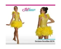 Costume Danza Con Piume