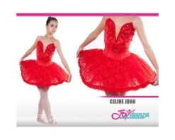 Tutù Balletto Don Chisciotte